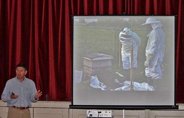 The swarm finding a new home.jpg